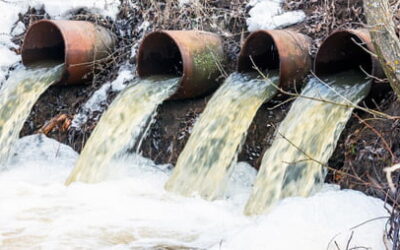 Los Efectos de los Metales Pesado en el Agua